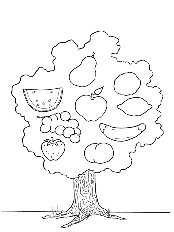 Tree with fruits Colouring page
