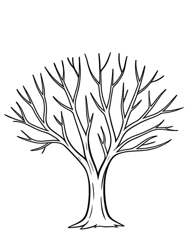 Tree with no leaves Colouring page