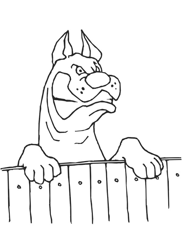 Angry dog Colouring page