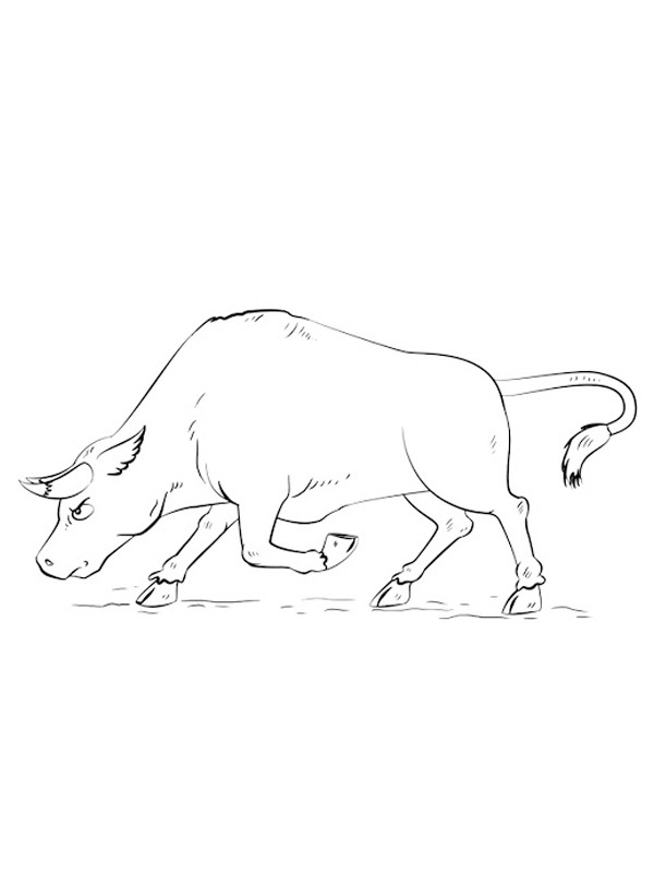 Angry bull Colouring page