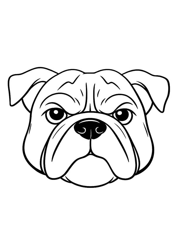 Bulldog Head Colouring page