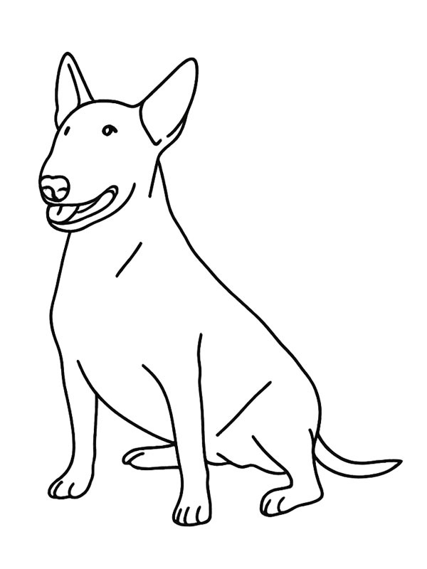 Bull Terrier Colouring page