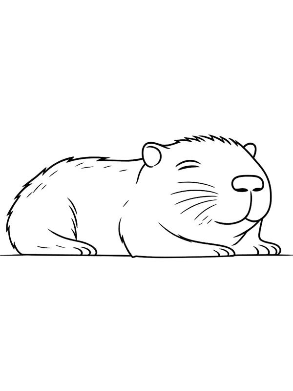 Capybara is sleeping Colouring page
