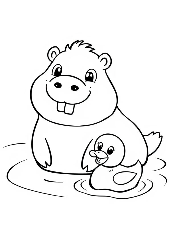Capybara swims with duck Colouring page