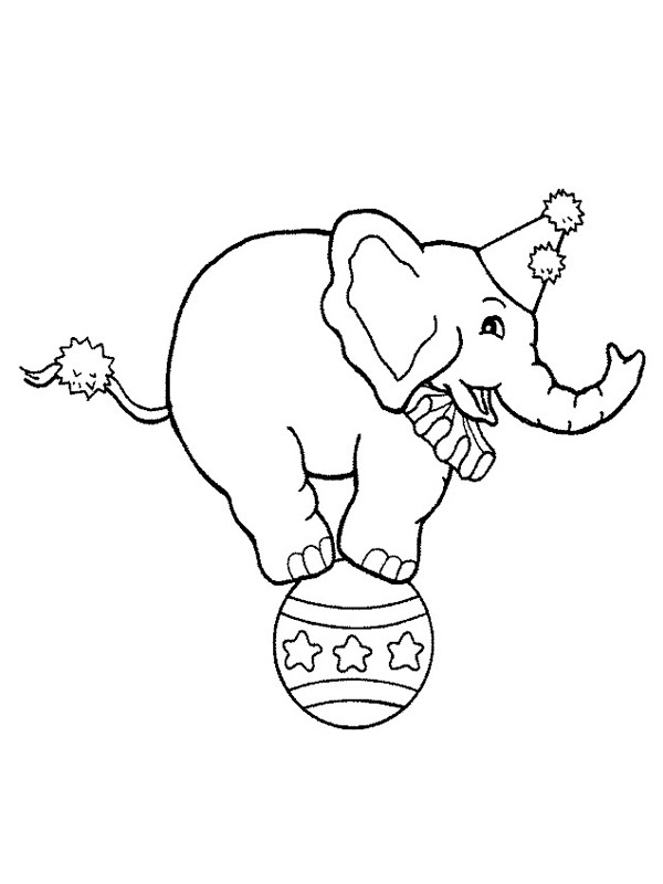 Circus elephant on a ball Colouring page