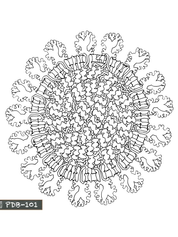 Coronavirus mandala Colouring page