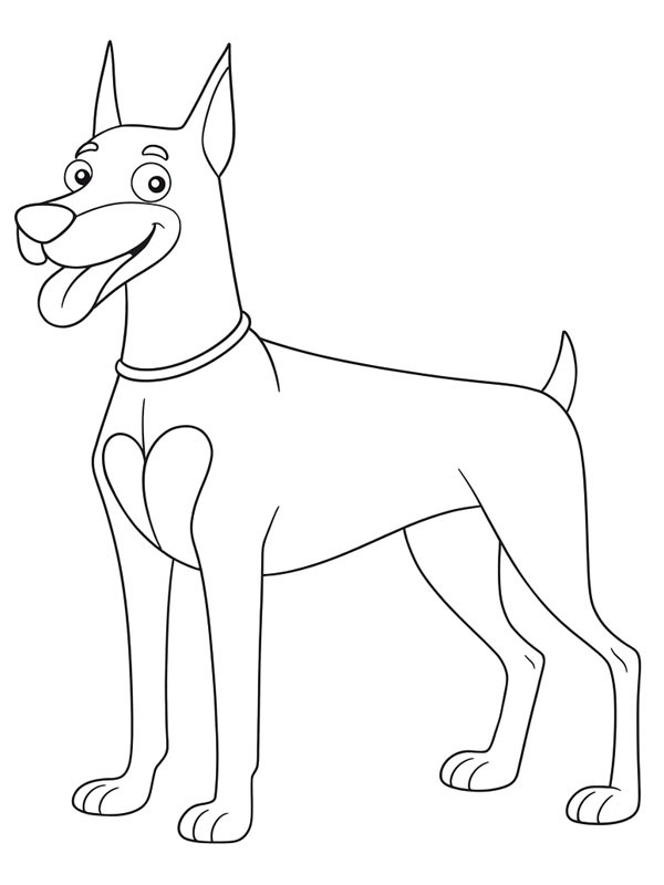 Dobermann Colouring page