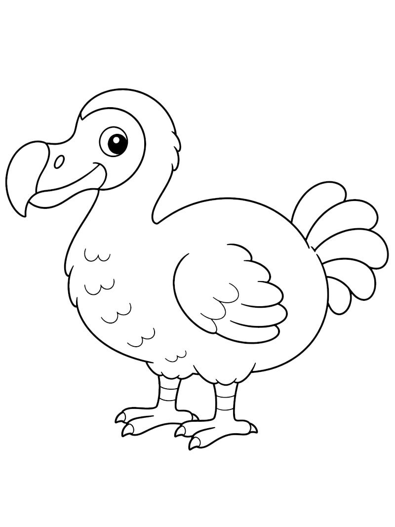 Dodo Bird Colouring page