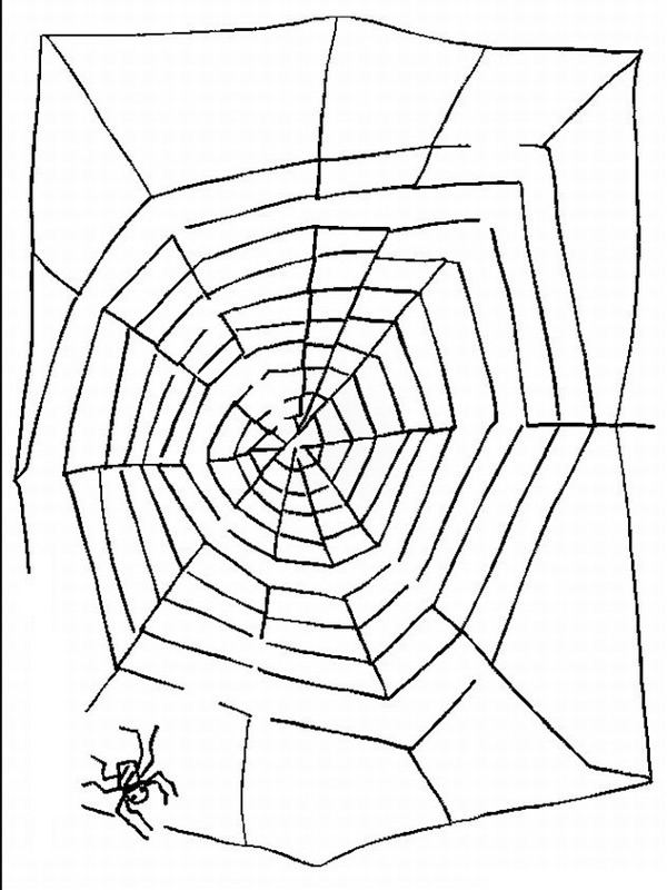 Maze spiderweb Colouring page
