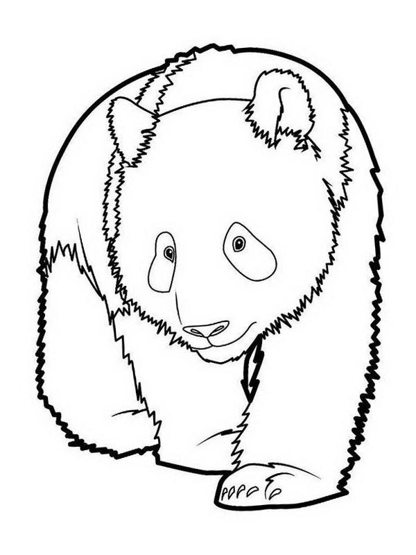 Sad panda Colouring page
