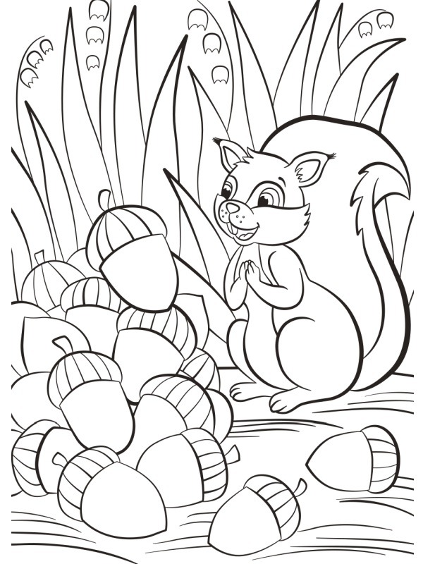 Squirrel with acorn Colouring page