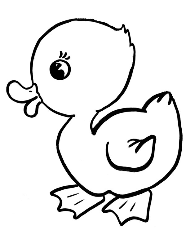 Duck Colouring page