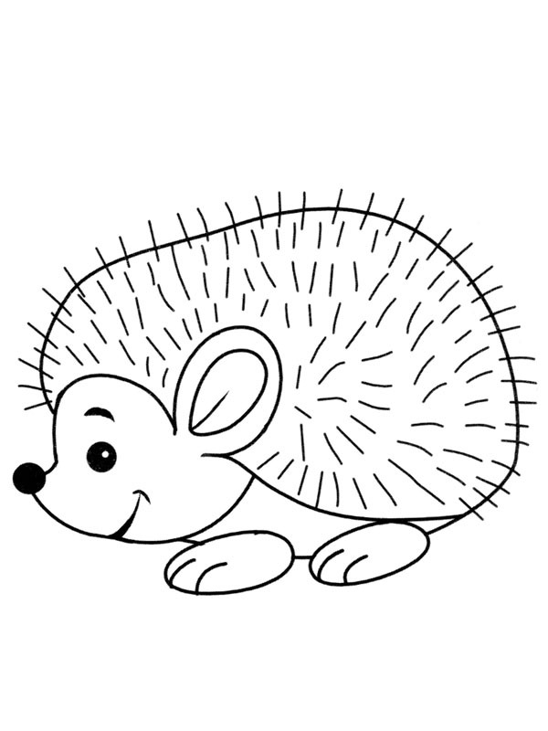 Hedgehog spines Colouring page