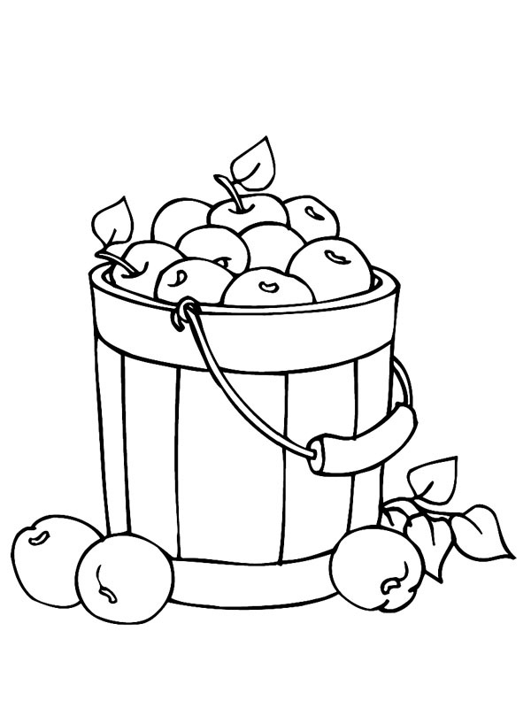 Bucket of apples Colouring page