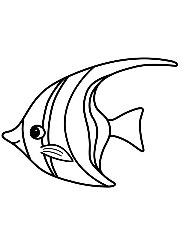 Angelfish Colouring page