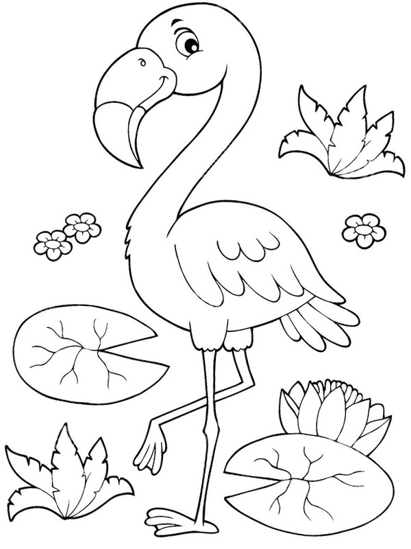 Flamingo Colouring page