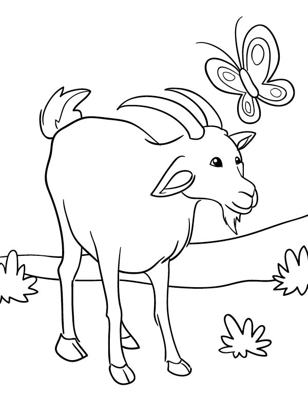 Goat and butterfly Colouring page