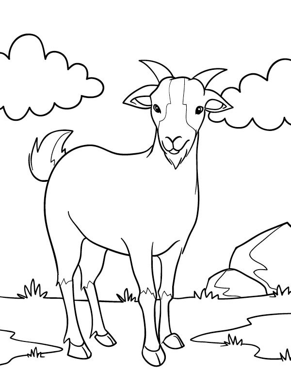 Goat looks Colouring page