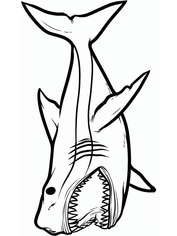 dangerious shark Colouring page