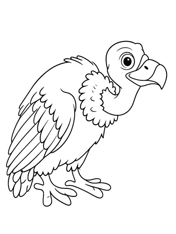 Vulture Colouring page