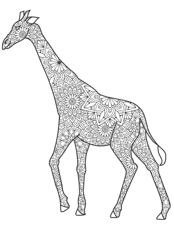 giraffe for adults Colouring page