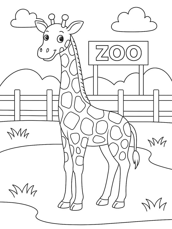 Giraffe at the zoo Colouring page