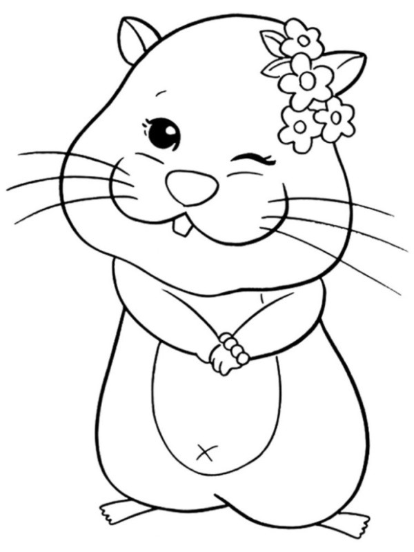 funny hamster Colouring page