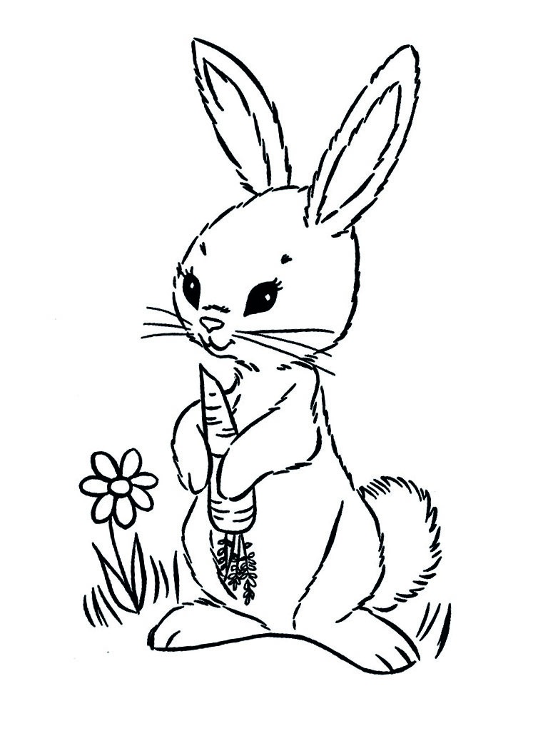 Hare with carrot Colouring page