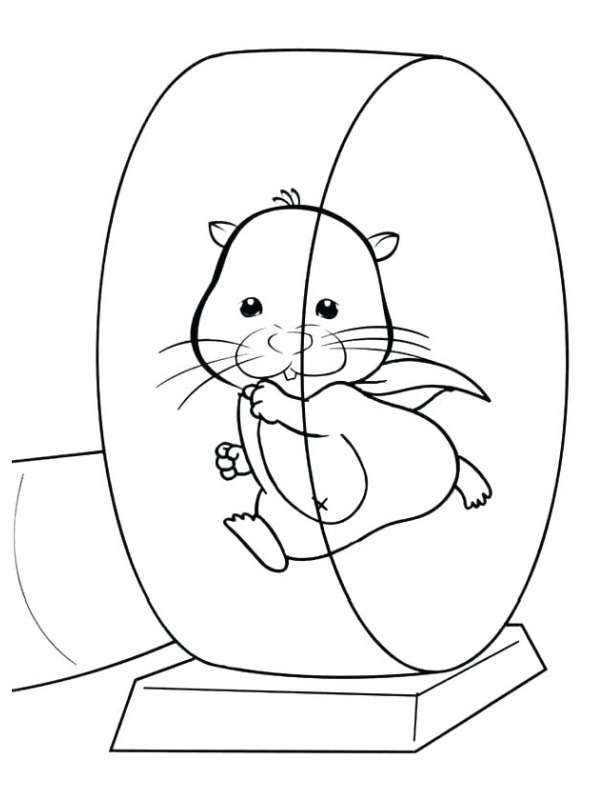 Hamster Plays Its Toy Colouring page