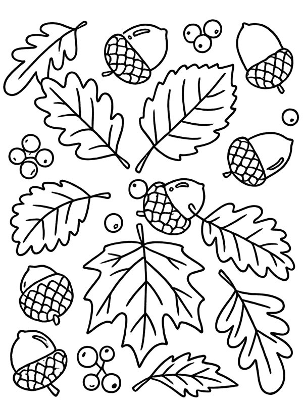 Autumn leaves and acorns Colouring page