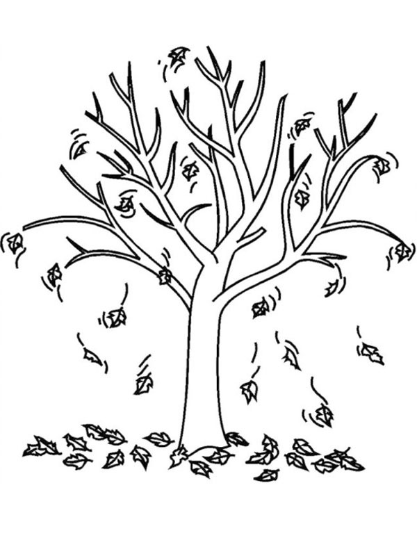 autumn tree Colouring page