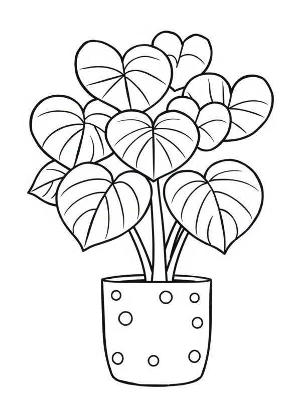 Lucky heart Plant (Hoya Kerrii) Colouring page