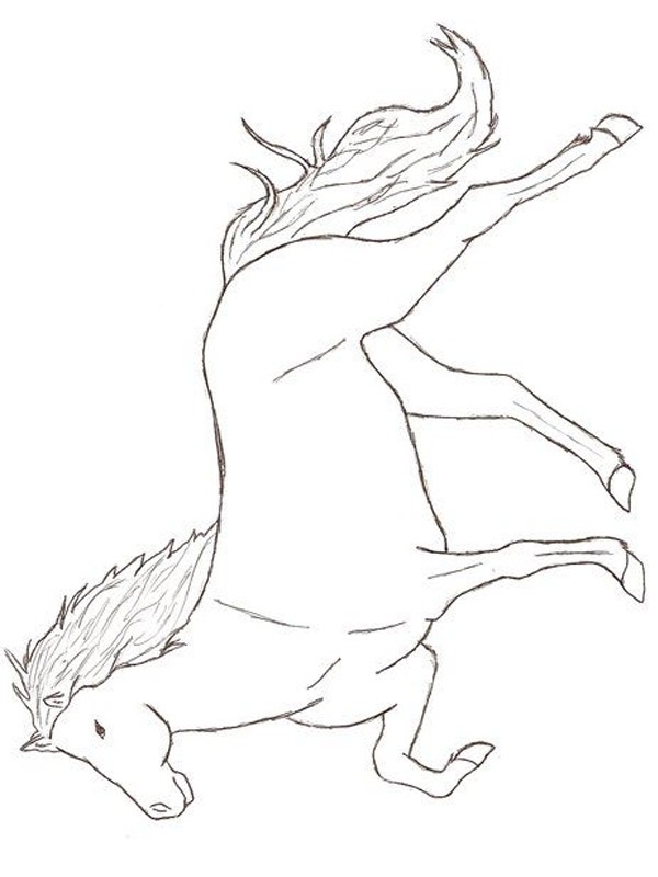 Icelandic horse Colouring page