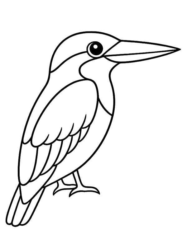 Kingfisher Colouring page