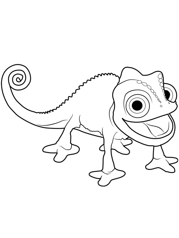 Chameleon Pascal Colouring page