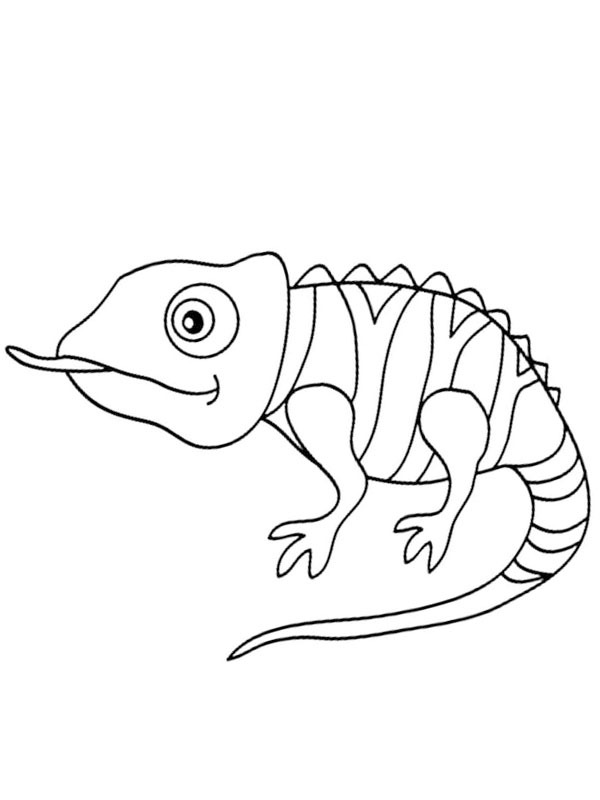 Chameleon sticks out tonque Colouring page