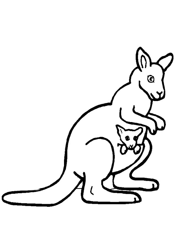 Kangaroo Colouring page