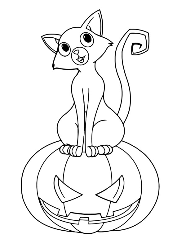 Cat on a halloween pumpkin Colouring page