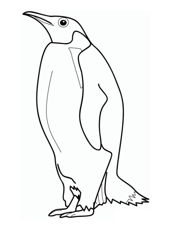 Pinguin imperial Colouring page
