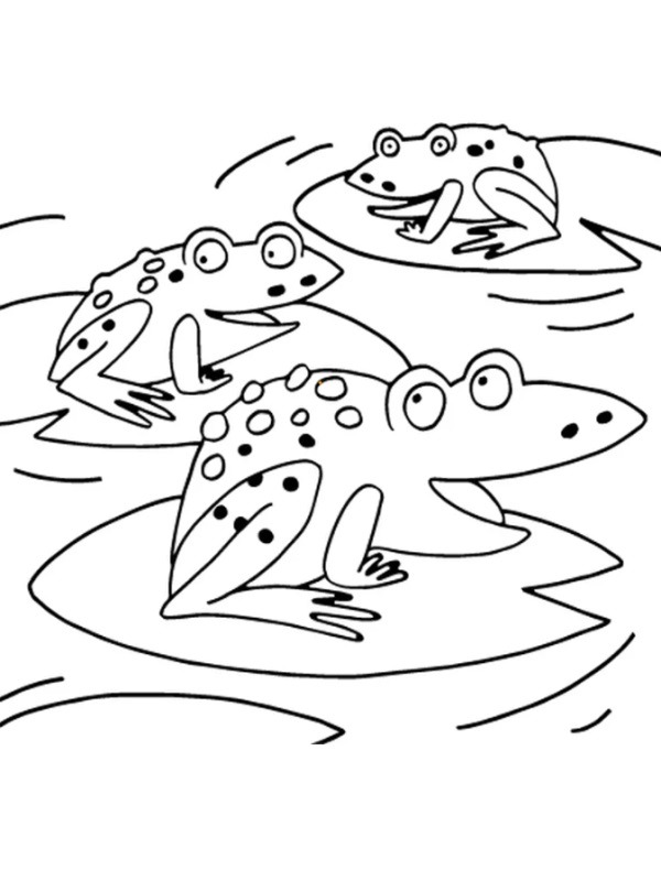 Frogs Colouring page