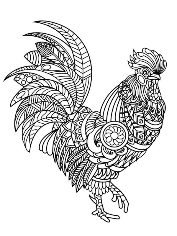 Chicken for adults Colouring page