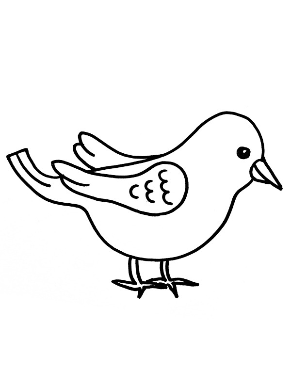 Small bird Colouring page
