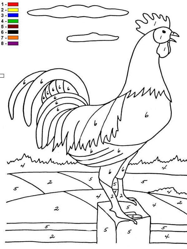 Colour by number chicken Colouring page