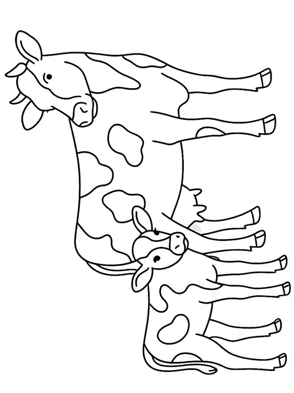 Cow with calf Colouring page