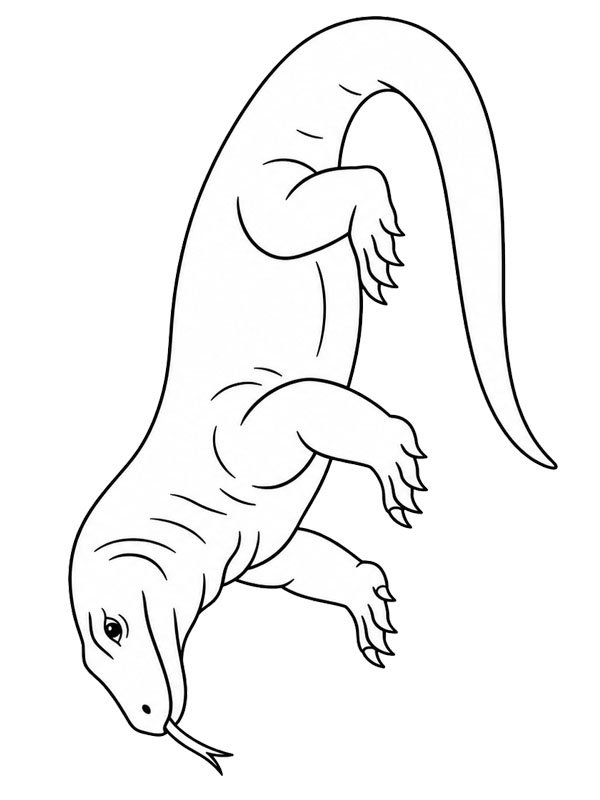 Komodo dragon Colouring page