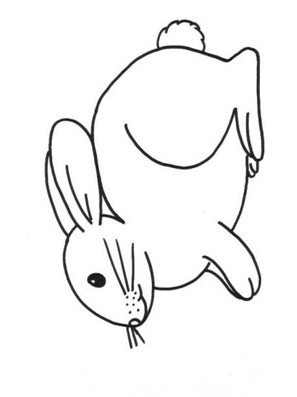 rabbit Colouring page