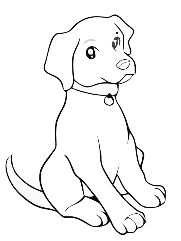 Labrador puppy Colouring page