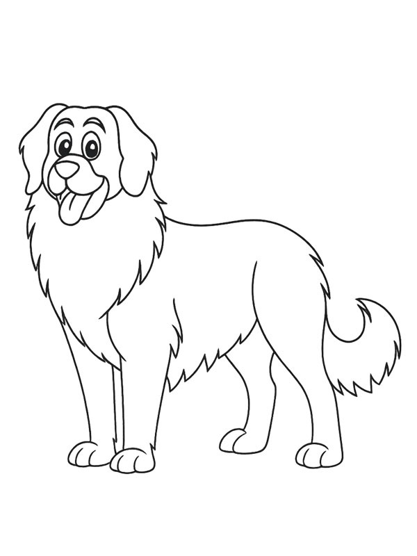 Leonberger Colouring page