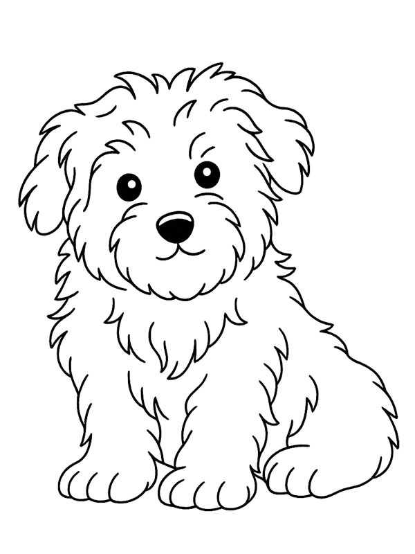 Maltese dog Colouring page