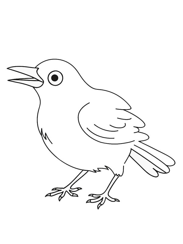 Blackbird Colouring page